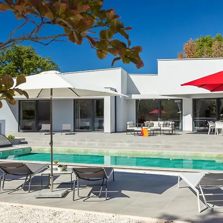 Vines, Modern Luxury In Serene Seclusion