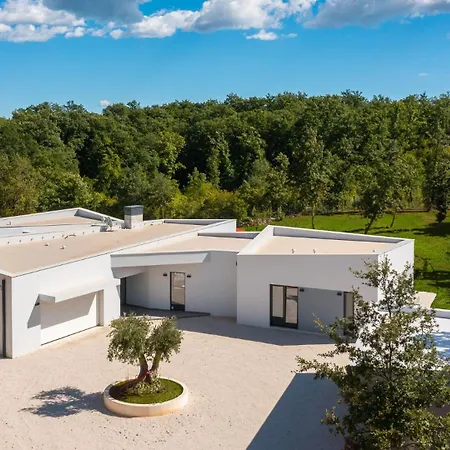 Vines, Modern Luxury In Serene Seclusion Villa Svetvinčenat